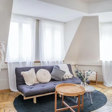In Mit Dachterrasse // Langstrasse アパート