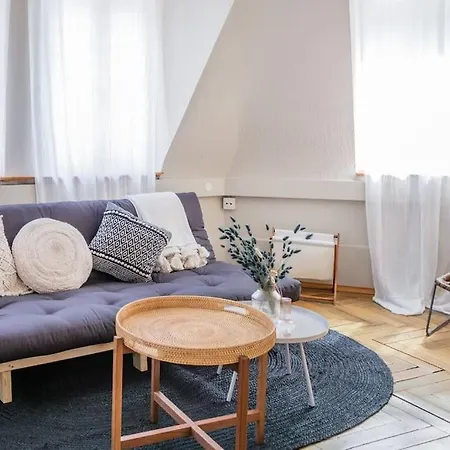 In Mit Dachterrasse // Langstrasse アパート