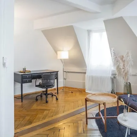 Apartament In Mit Dachterrasse // Langstrasse