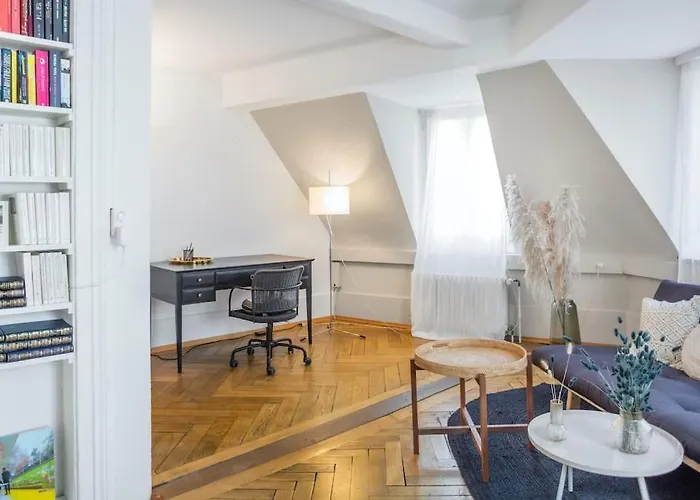 Apartment In Mit Dachterrasse // Langstrasse