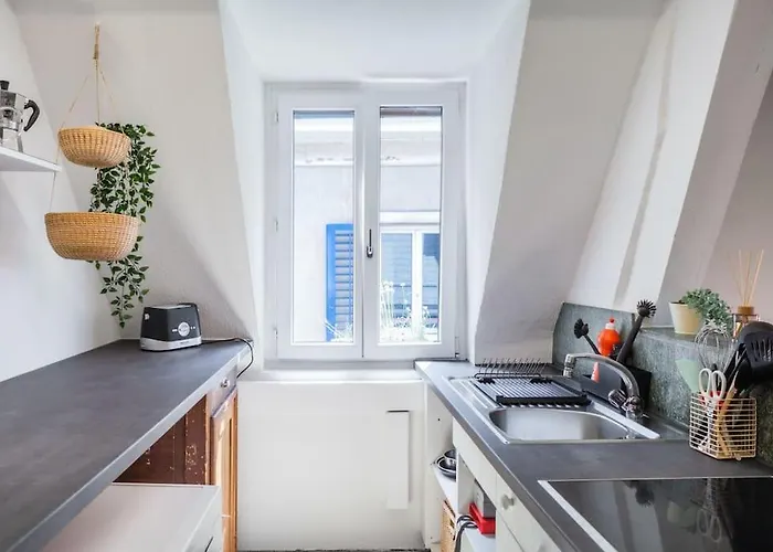 Apartment In Mit Dachterrasse // Langstrasse